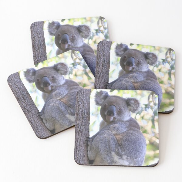 Item preview, Koala - just chilling designed and sold by Rachel Elizabeth Photography.