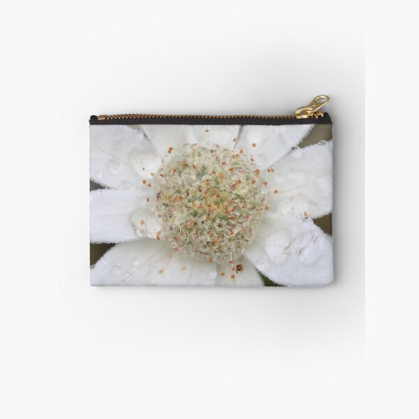 Item preview, Close-up of Flannel Flower designed and sold by Rachel Elizabeth Photography.
