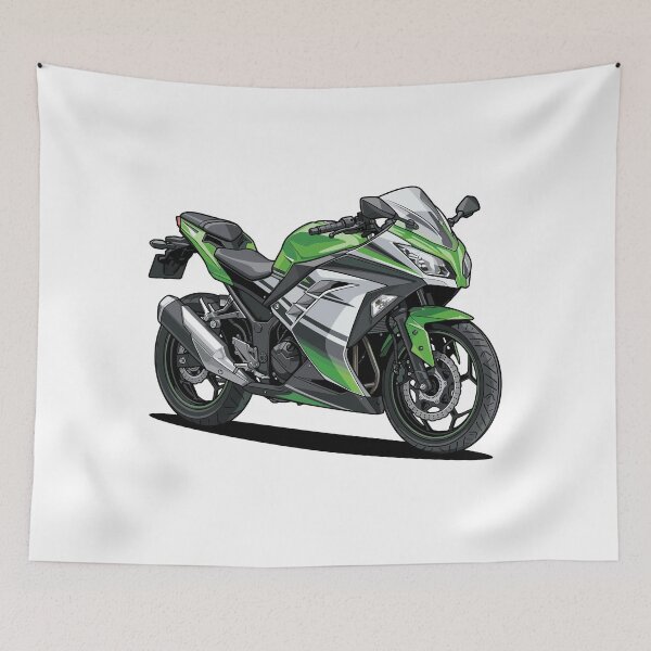 Item preview, Kawasaki Ninja 300  designed and sold by vektoranda.