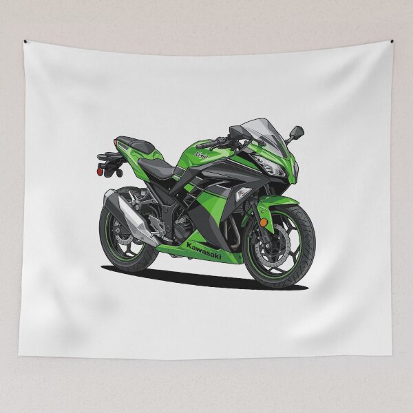 Item preview, Kawasaki Ninja 300 designed and sold by vektoranda.