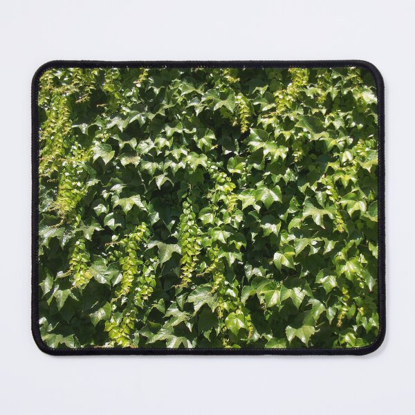 Item preview, Ivy Wall designed and sold by Dead Parrot Technology.