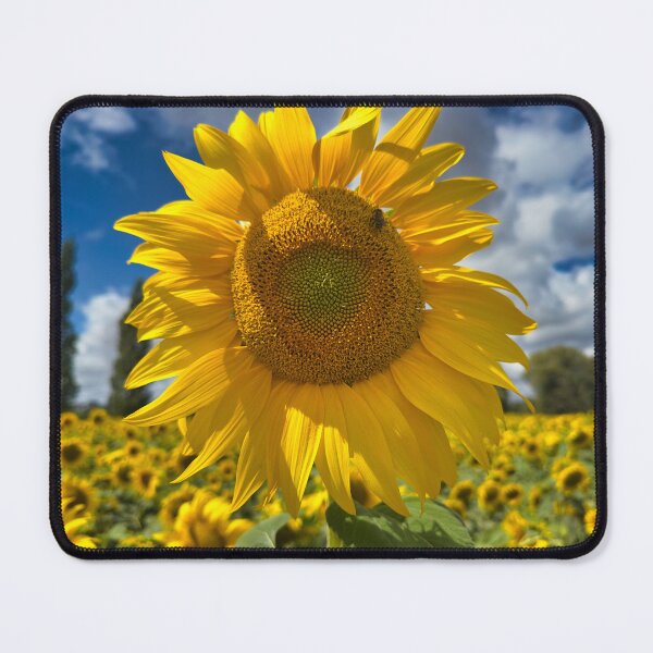 Item preview, Bright Sunflower Close Up in Summer Field - Floral Nature Photography designed and sold by leonwoods.