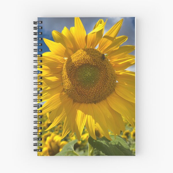 Item preview, Bright Sunflower Close Up in Summer Field - Floral Nature Photography designed and sold by leonwoods.
