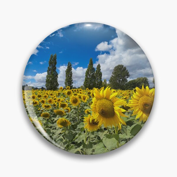 Item preview, Golden Sunflower Field Under Blue Sky - Summer Landscape Photography designed and sold by leonwoods.