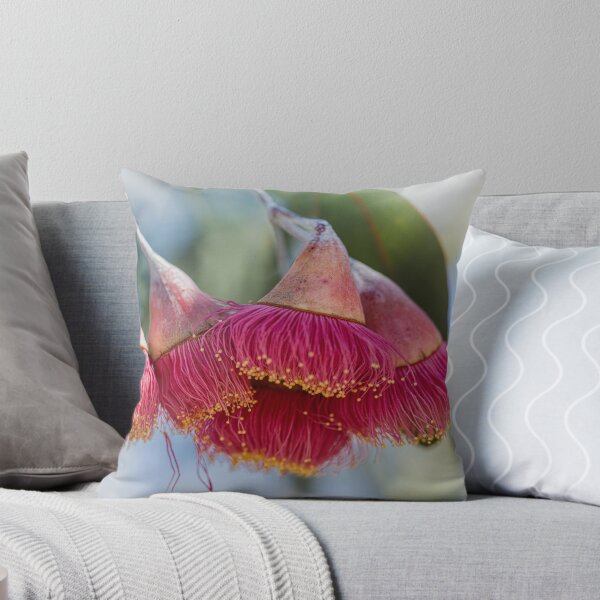 Item preview, Silver Princess Mallee Blossom Macro 1 – Fine Art Canvas Print designed and sold by MinzMarchStudio.
