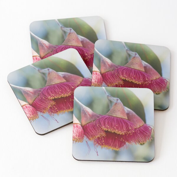 Item preview, Silver Princess Mallee Blossom Macro 1 – Fine Art Canvas Print designed and sold by MinzMarchStudio.
