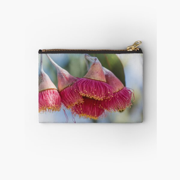 Item preview, Silver Princess Mallee Blossom Macro 1 – Fine Art Canvas Print designed and sold by MinzMarchStudio.