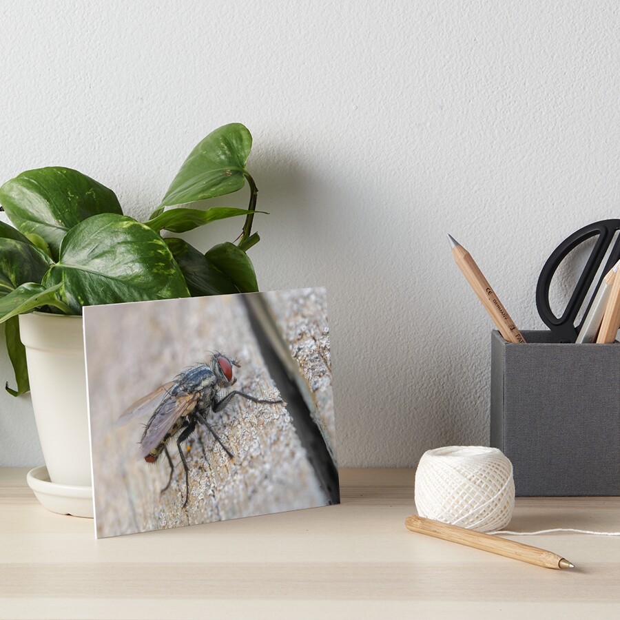 Item preview, Art Board Print designed and sold by RalphGoldsmith.
