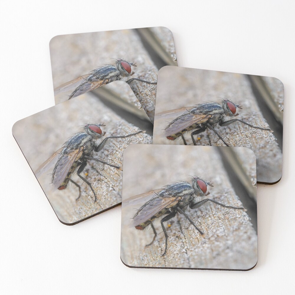 Item preview, Coasters (Set of 4) designed and sold by RalphGoldsmith.