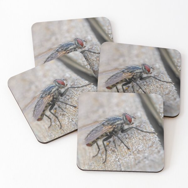 Item preview, Flesh Fly designed and sold by Ralph Goldsmith.