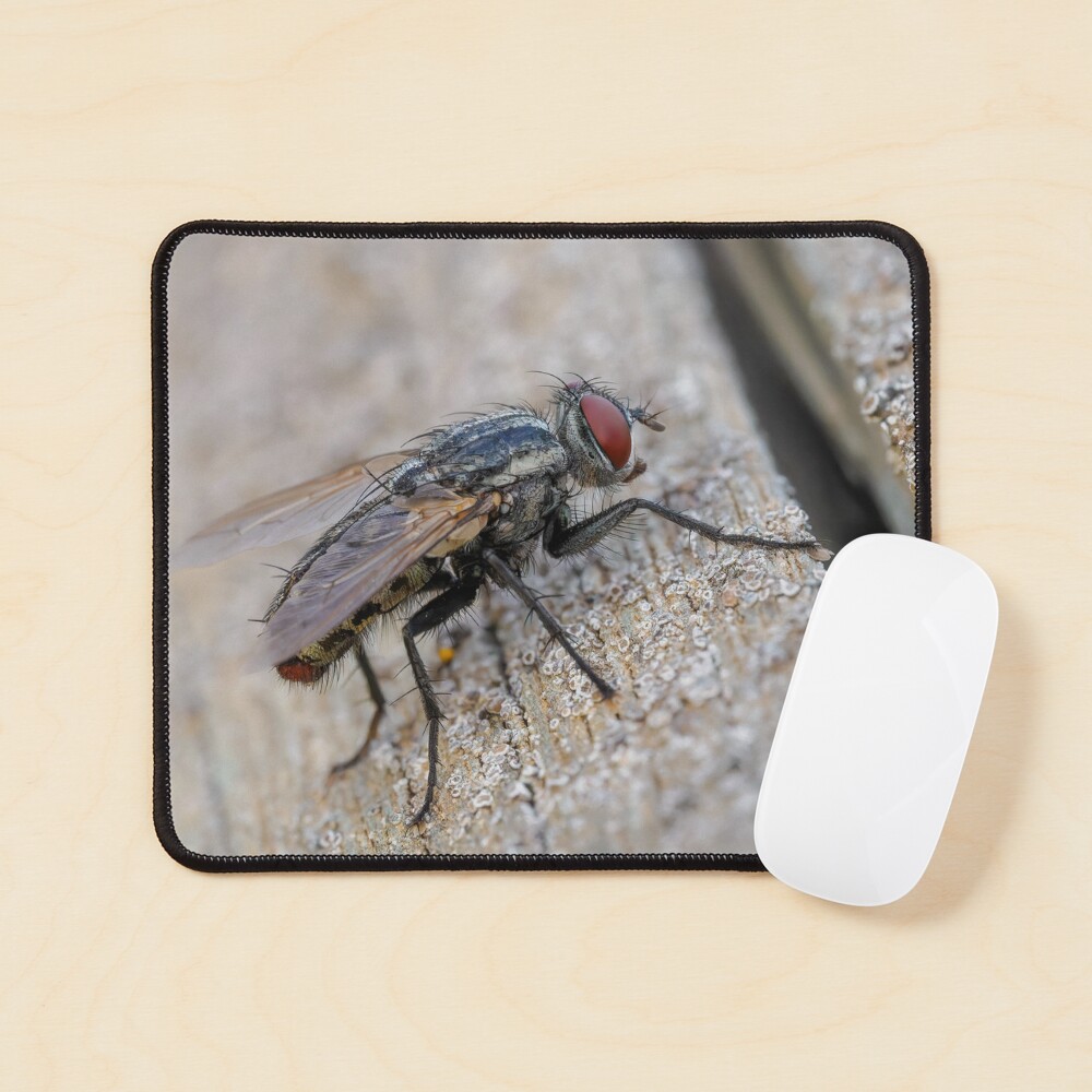 Item preview, Mouse Pad designed and sold by RalphGoldsmith.