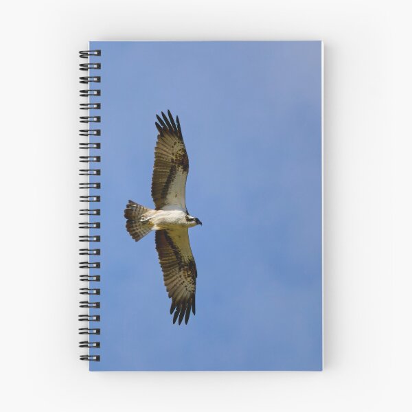 Item preview, Fishing high. Osprey designed and sold by Jouko Lehto Photography.