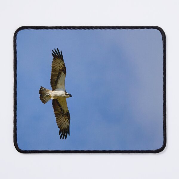 Item preview, Fishing high. Osprey designed and sold by Jouko Lehto Photography.