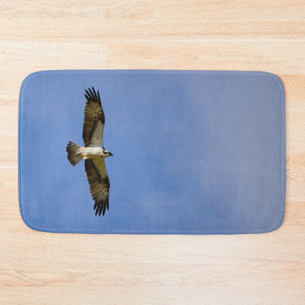 Item preview, Fishing high. Osprey designed and sold by Jouko Lehto Photography.
