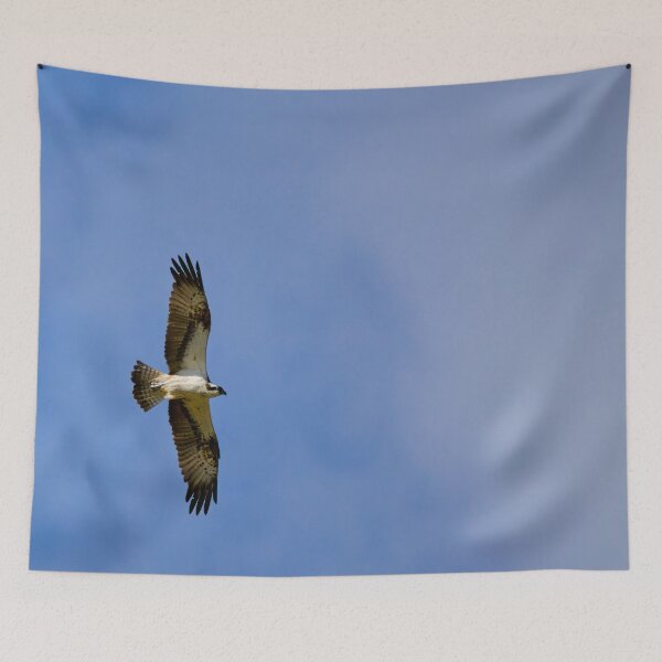 Item preview, Fishing high. Osprey designed and sold by Jouko Lehto Photography.