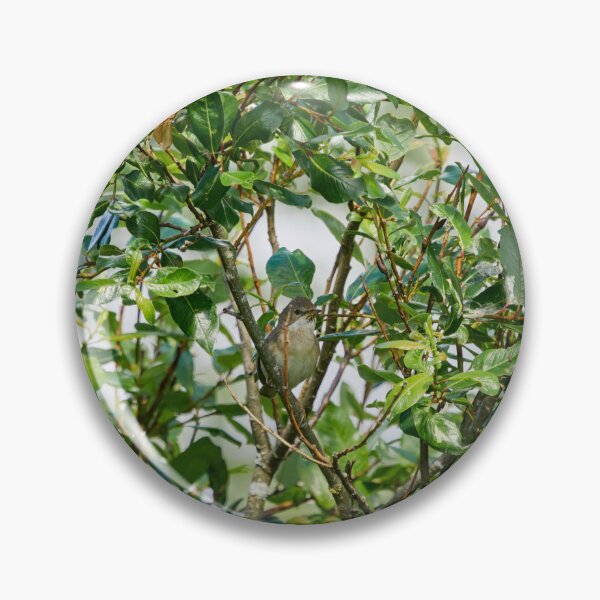 Item preview, Whitethroat in a bush designed and sold by Jouko Lehto Photography.