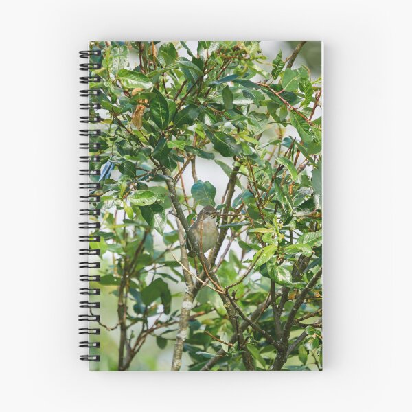 Item preview, Whitethroat in a bush designed and sold by Jouko Lehto Photography.