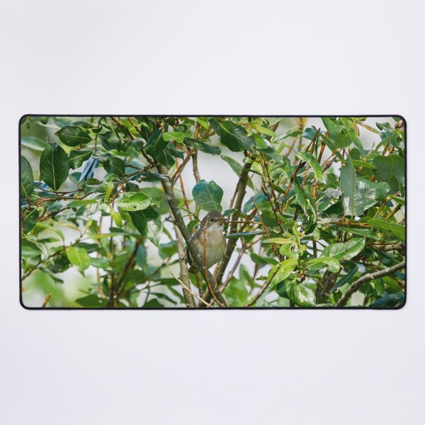 Item preview, Whitethroat in a bush designed and sold by Jouko Lehto Photography.