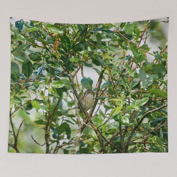 Item preview, Whitethroat in a bush designed and sold by Jouko Lehto Photography.