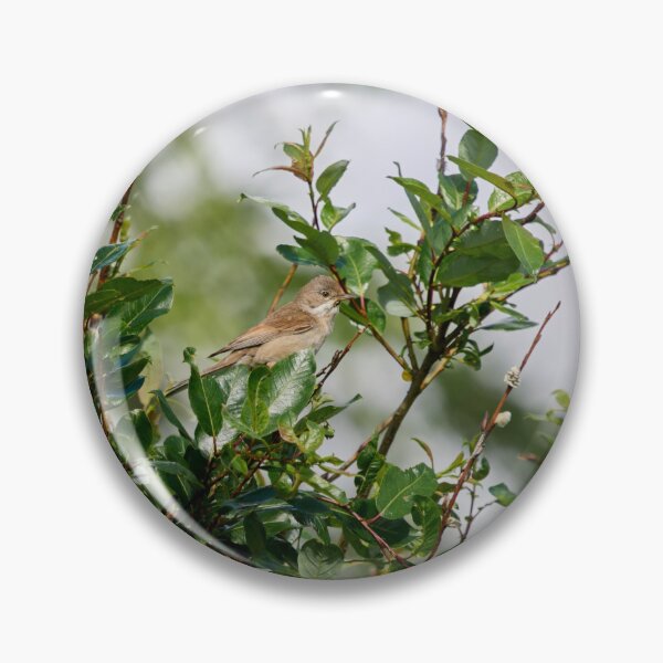 Item preview, Whitethroat top show designed and sold by Jouko Lehto Photography.