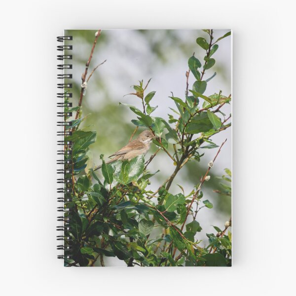 Item preview, Whitethroat top show designed and sold by Jouko Lehto Photography.