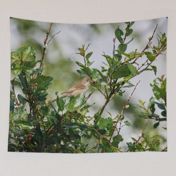 Item preview, Whitethroat top show designed and sold by Jouko Lehto Photography.