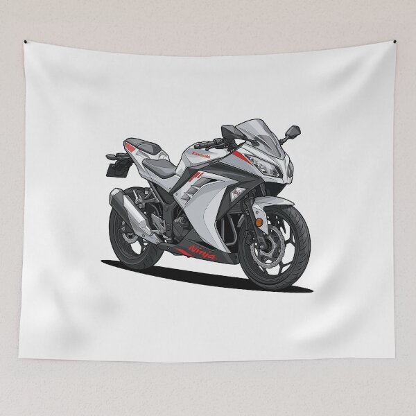 Item preview, Kawasaki Ninja 300 ABS designed and sold by vektoranda.