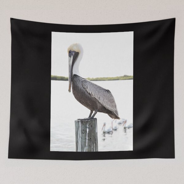 Item preview, Pine Island Pelican Waiting For Food designed and sold by NickTshirts.