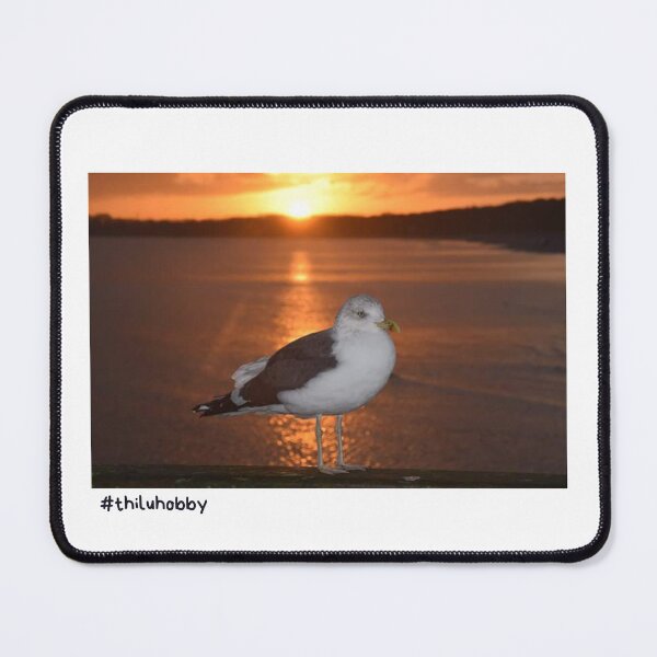 Item preview, Baltic Seagull designed and sold by thilu-hobby.