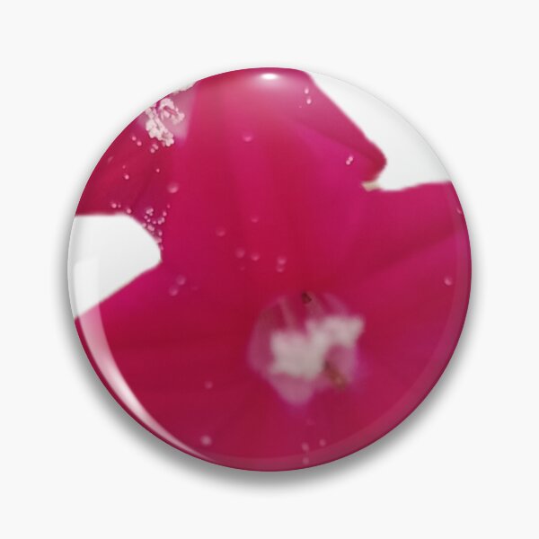 Item preview, Magenta Star Flower Duo Dewdrops Karnataka Garden Macro Photography designed and sold by Ezrabilquis7.