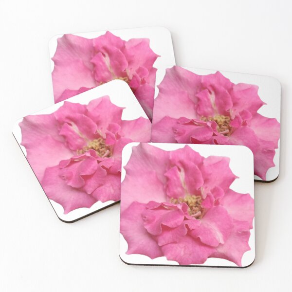 Item preview, Pink Rose Wavy Petals Golden Stamens Karnataka Garden Macro Photography designed and sold by Ezrabilquis7.
