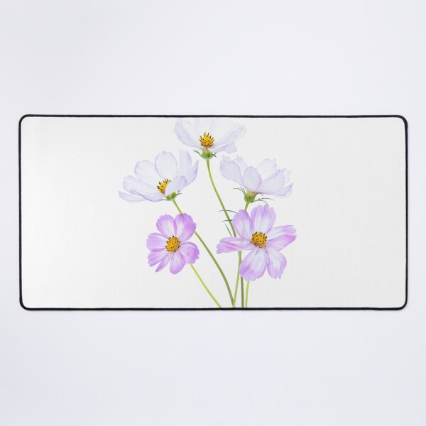 Item preview, Cosmos Flowers Bouquet, Pink Cosmos Blossom, Elegant Floral Illustration designed and sold by Catrinann.