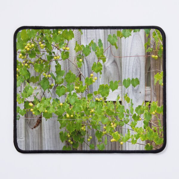 Item preview, Grape Vines Against Wooden Fence designed and sold by Cynthia48.