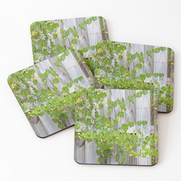 Item preview, Grape Vines Against Wooden Fence designed and sold by Cynthia48.