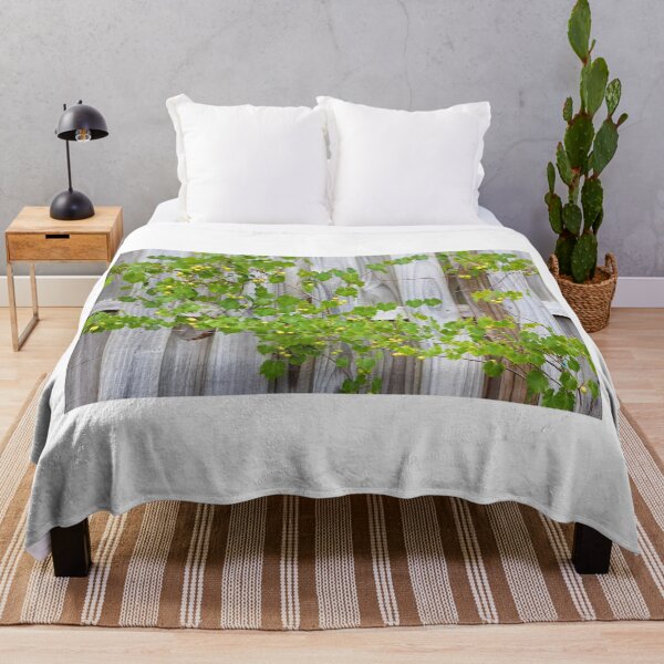 Item preview, Grape Vines Against Wooden Fence designed and sold by Cynthia48.