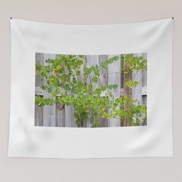 Item preview, Grape Vines Against Wooden Fence designed and sold by Cynthia48.