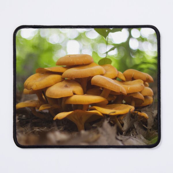 Item preview, Eastern Jack-O-Lantern Mushroom Photograph designed and sold by The Clearing Blog Shop.