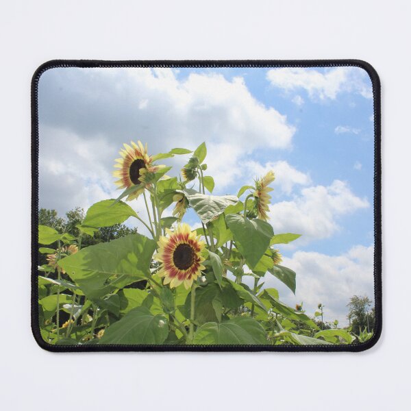 Item preview, Sunflower Fields designed and sold by Danigeheb.
