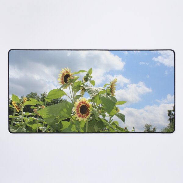 Item preview, Sunflower Fields designed and sold by Danigeheb.