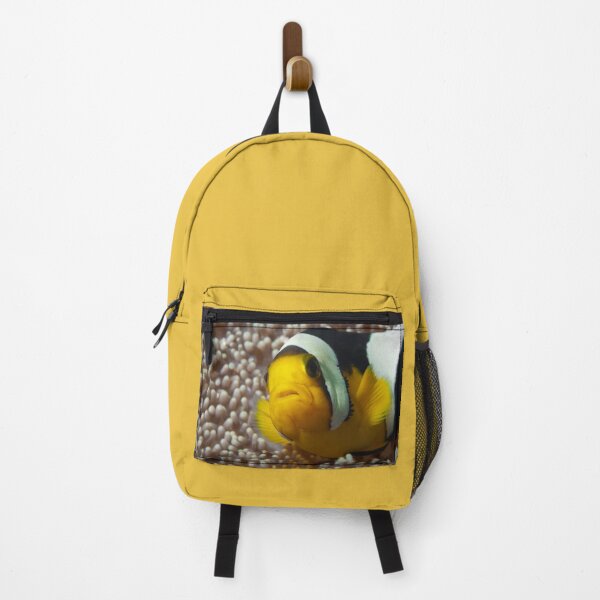 Item preview, Saddleback Clownfish Extreme Close-up * Raja Ampat Photo | designed and sold by Photo & Design Ute Niemann.