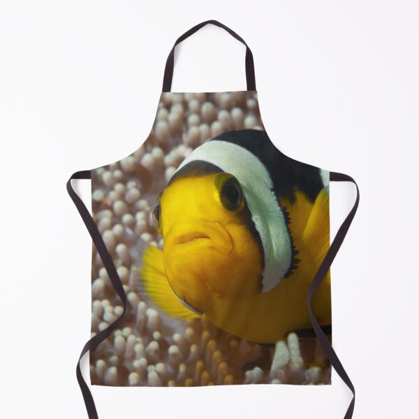 Item preview, Saddleback Clownfish Extreme Close-up * Raja Ampat Photo | designed and sold by Photo & Design Ute Niemann.