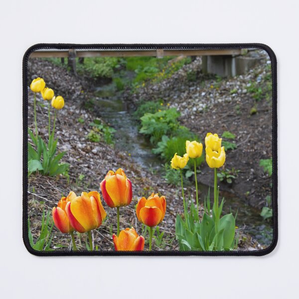 Item preview, Vibrant Spring Flowers by a Creek in Port Burwell, Ontario designed and sold by jrtwynam.