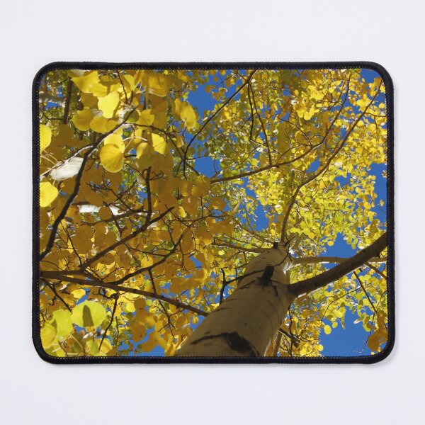 Item preview, Aspen trees designed and sold by The Better Days Company.