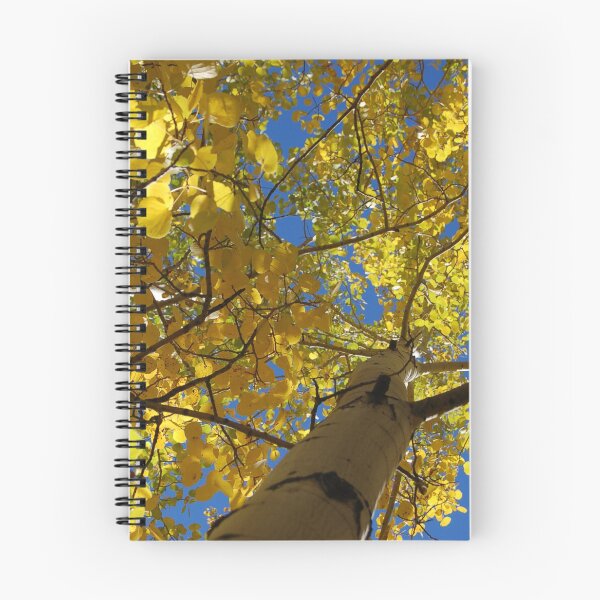 Item preview, Aspen trees designed and sold by The Better Days Company.