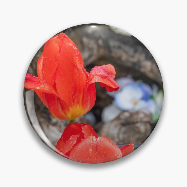 Item preview, Vibrant Red Tulips in Port Burwell Garden, Ontario designed and sold by jrtwynam.