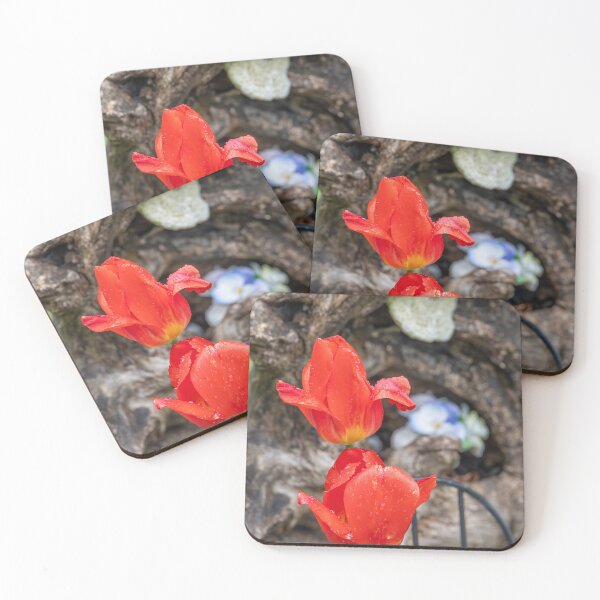 Item preview, Vibrant Red Tulips in Port Burwell Garden, Ontario designed and sold by jrtwynam.
