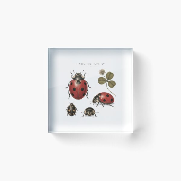 Item preview, Cute Small Ladybug – Cottagecore Botanical Lucky Bug Design designed and sold by AMICO77.