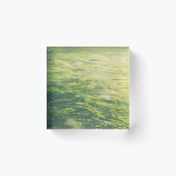 Item preview, Garden Carex Background designed and sold by Inimma.