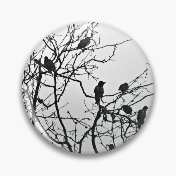 Item preview, Roosting rooks. designed and sold by Paul Pasco.