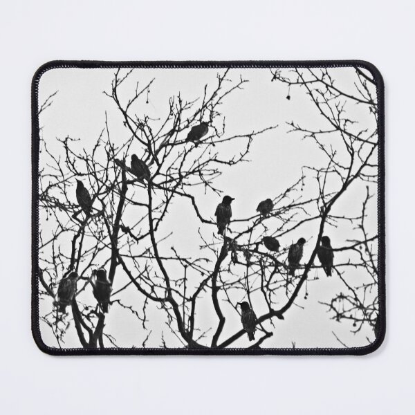 Item preview, Roosting rooks. designed and sold by Paul Pasco.